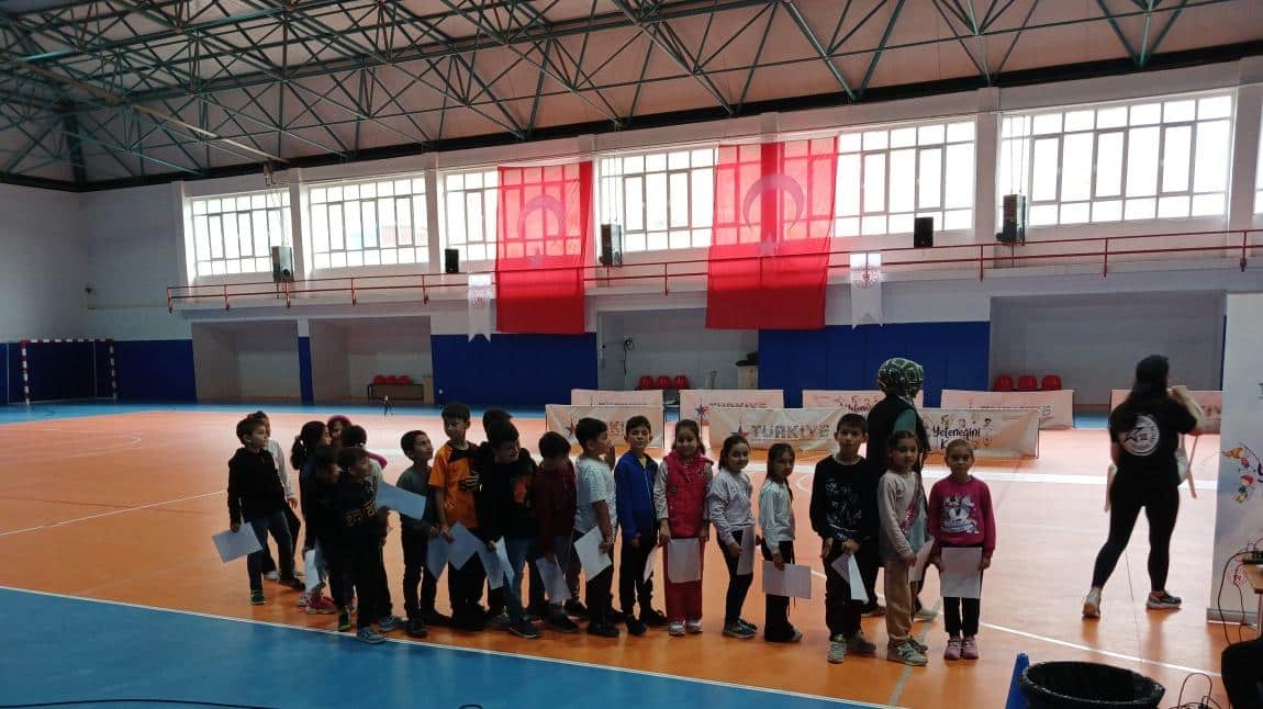 Türkiye Sportif Yetenek Taraması ve Spora  Yönlendirme Programı